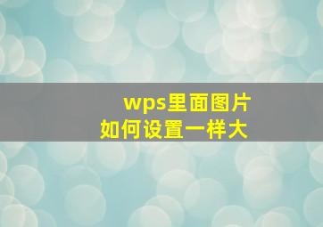 wps里面图片如何设置一样大