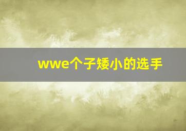 wwe个子矮小的选手