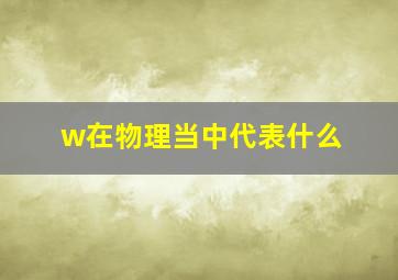 w在物理当中代表什么