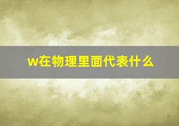 w在物理里面代表什么