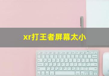 xr打王者屏幕太小