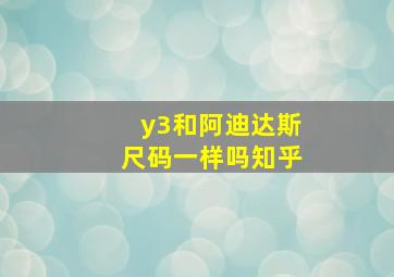 y3和阿迪达斯尺码一样吗知乎