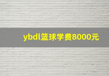 ybdl篮球学费8000元