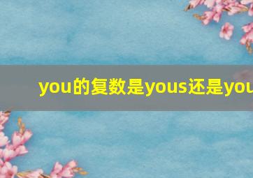 you的复数是yous还是you