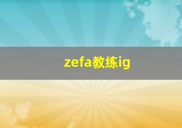 zefa教练ig