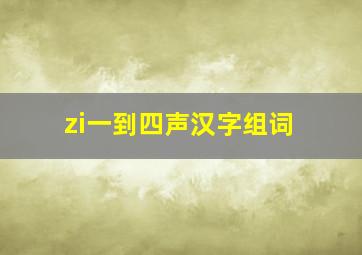 zi一到四声汉字组词