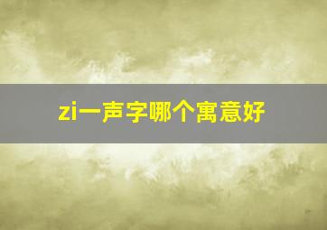 zi一声字哪个寓意好