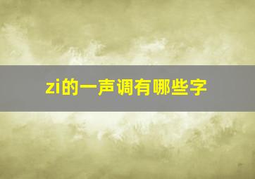 zi的一声调有哪些字