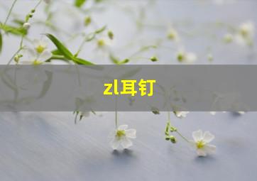 zl耳钉