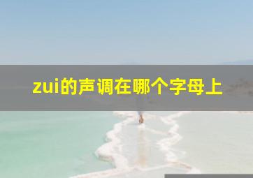 zui的声调在哪个字母上