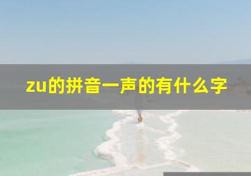 zu的拼音一声的有什么字