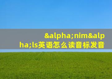 αnimαls英语怎么读音标发音