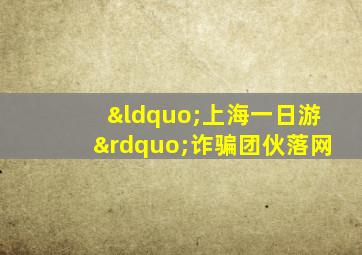 “上海一日游”诈骗团伙落网