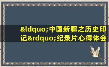 “中国新疆之历史印记”纪录片心得体会