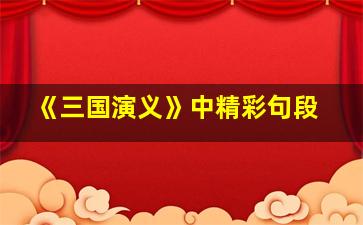 《三国演义》中精彩句段