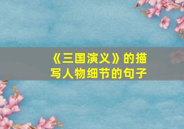 《三国演义》的描写人物细节的句子