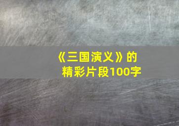 《三国演义》的精彩片段100字