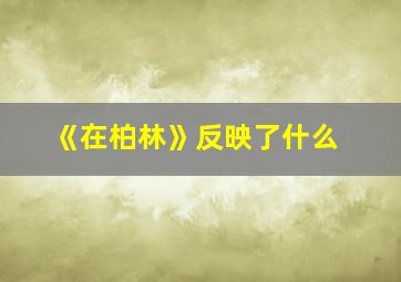 《在柏林》反映了什么