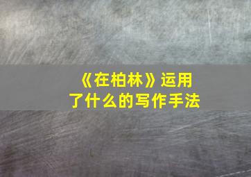 《在柏林》运用了什么的写作手法