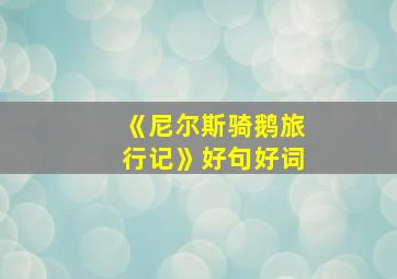 《尼尔斯骑鹅旅行记》好句好词