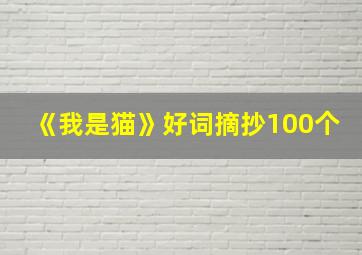 《我是猫》好词摘抄100个