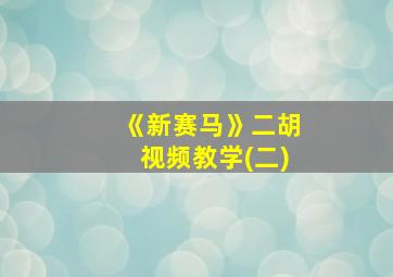 《新赛马》二胡视频教学(二)