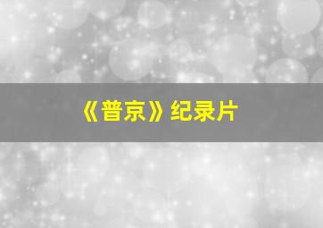 《普京》纪录片