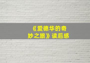 《爱德华的奇妙之旅》读后感