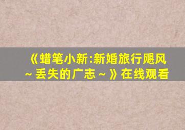 《蜡笔小新:新婚旅行飓风～丢失的广志～》在线观看