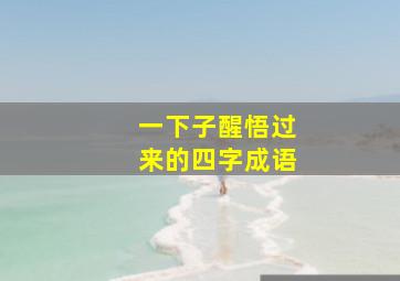 一下子醒悟过来的四字成语