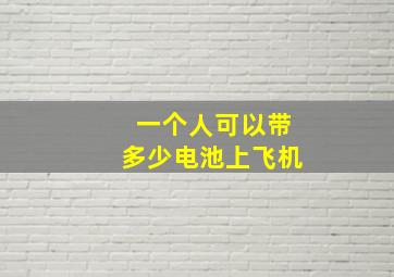 一个人可以带多少电池上飞机