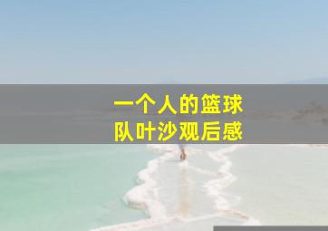 一个人的篮球队叶沙观后感