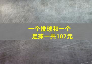 一个排球和一个足球一共107元