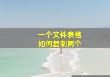 一个文件表格如何复制两个