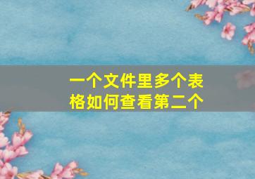 一个文件里多个表格如何查看第二个