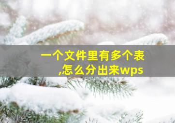 一个文件里有多个表,怎么分出来wps