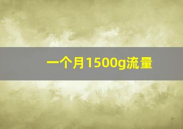 一个月1500g流量