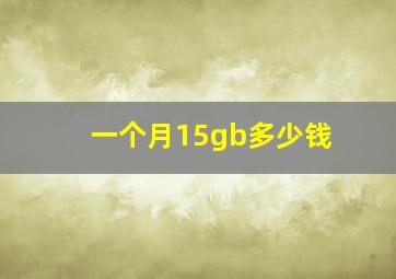 一个月15gb多少钱