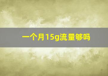 一个月15g流量够吗