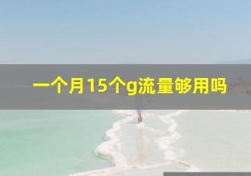 一个月15个g流量够用吗