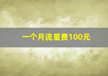 一个月流量费100元