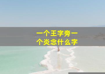 一个王字旁一个炎念什么字