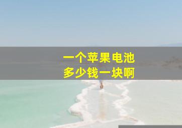 一个苹果电池多少钱一块啊