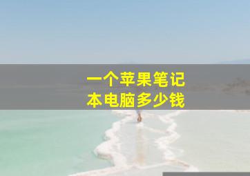 一个苹果笔记本电脑多少钱