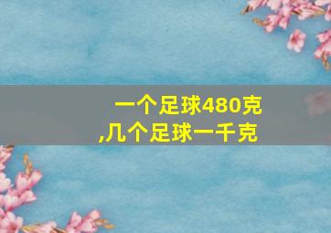 一个足球480克,几个足球一千克