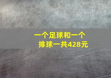 一个足球和一个排球一共428元