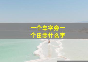 一个车字旁一个由念什么字