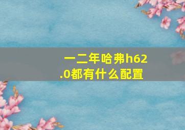 一二年哈弗h62.0都有什么配置