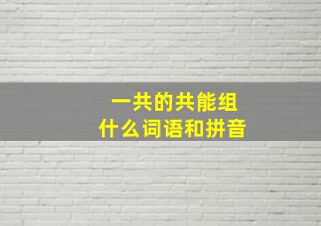 一共的共能组什么词语和拼音