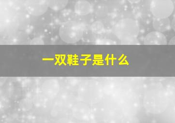 一双鞋子是什么